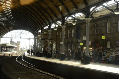 DSC_7201 (Large).JPG